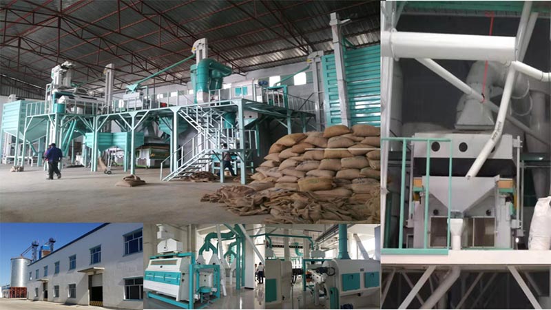 Dry legumes cleaning