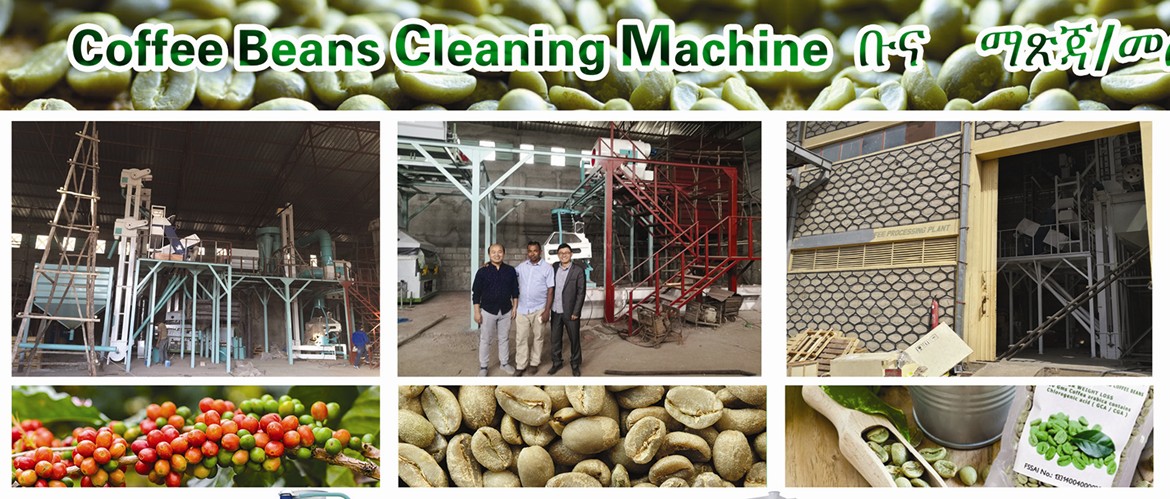 Green Coffee Bean Processing System ????? ?? ??????? ????